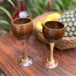 Thumbnail for Thenga Coconut Shell & Wooden Wine Glasses - Dista