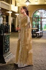 Thumbnail for Vastranavya Beige Embroidery Work Shimmer Chiffon Saree with Unstitched Blouse