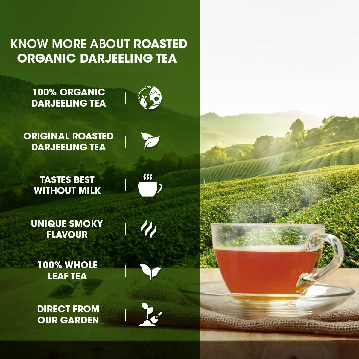 Goodricke Roasted Organic Darjeeling Tea Jar - Distacart