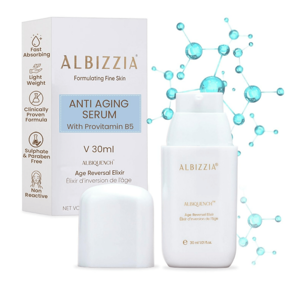 download - 2024-12-19T182413.471