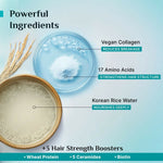 Thumbnail for Pilgrim Korean Rice Water & Collagen Advanced Damage Repair Shampoo - Distacart