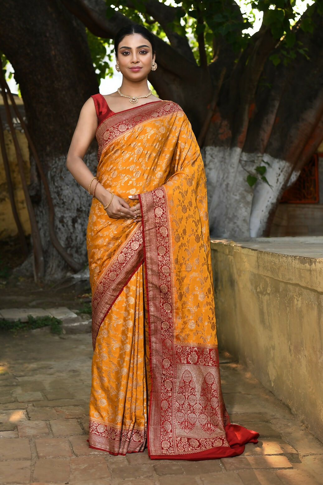 Joban Fashion Gold Crepe Chiffon Pure Handloom Banarasi Silk Saree - Dista