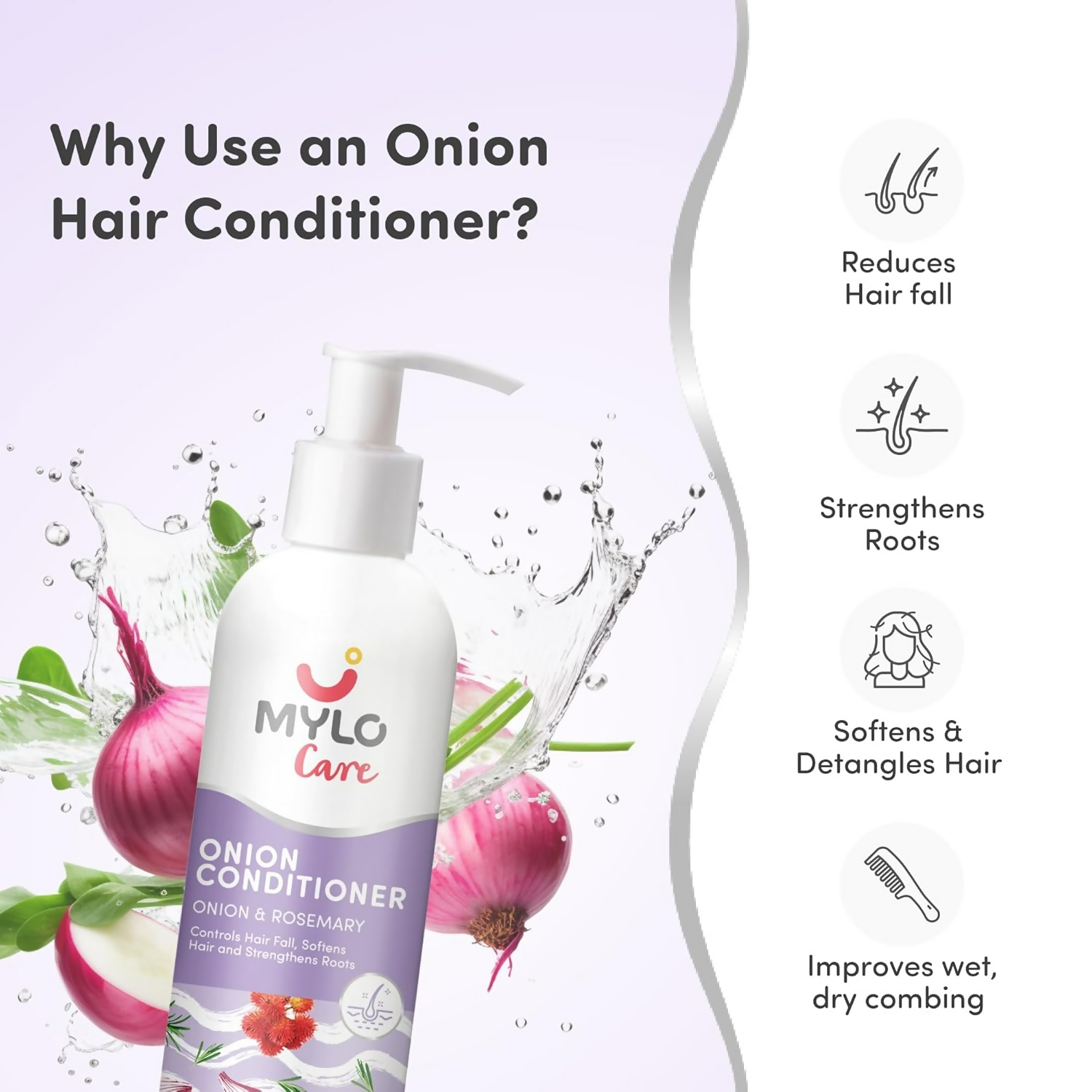 download - 2025-01-24T151548.080