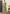 Vegaa Fashion Pista Green Chinon Silk Embroidered Lehenga Style Suit