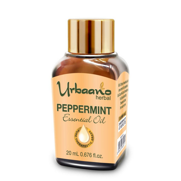 download - 2025-05-06T113359.003