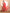 Yufta Red Cotton Sleeveless Anarkali Kurta Dupatta Set