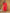 Yufta Red Pure Uppada Silk Handwork Kurta Dupatta Set