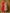 Yufta Red Silk Embroidered Plus Size Kurta Dupatta Set