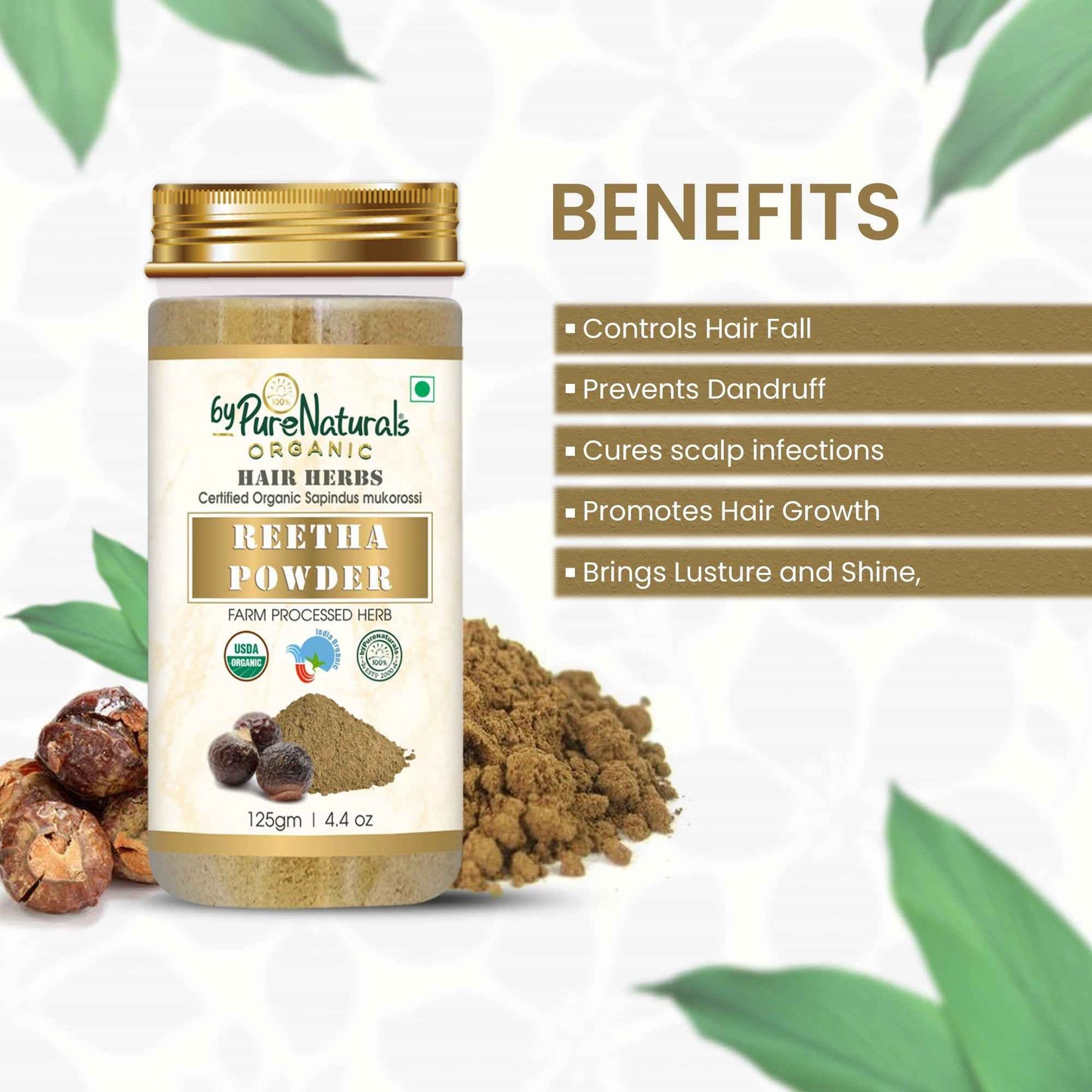 byPureNaturals Organic Reetha Powder - Dista