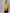 Ahalyaa Women's Mustard Poly Silk Printed Kurta Skirt Set With Dupatta - Distacart