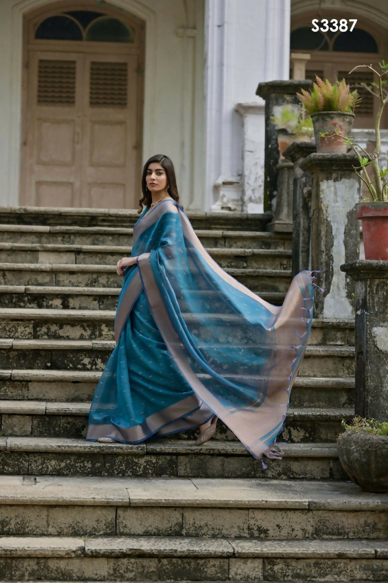 s3387-01_54318057896_o