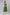 Souchii Green Varlie Printed Tiered Dress – Flowy Fit & Flare