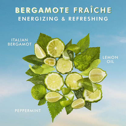 Moroccanoil Hand Cream Bergamot Fraiche - Distacart
