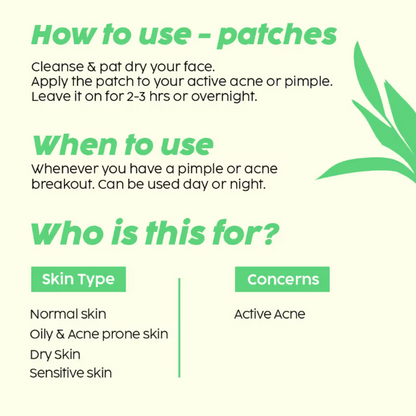 PLIX The Plant Fix Salicylic Acid Acne Patch - Distacart