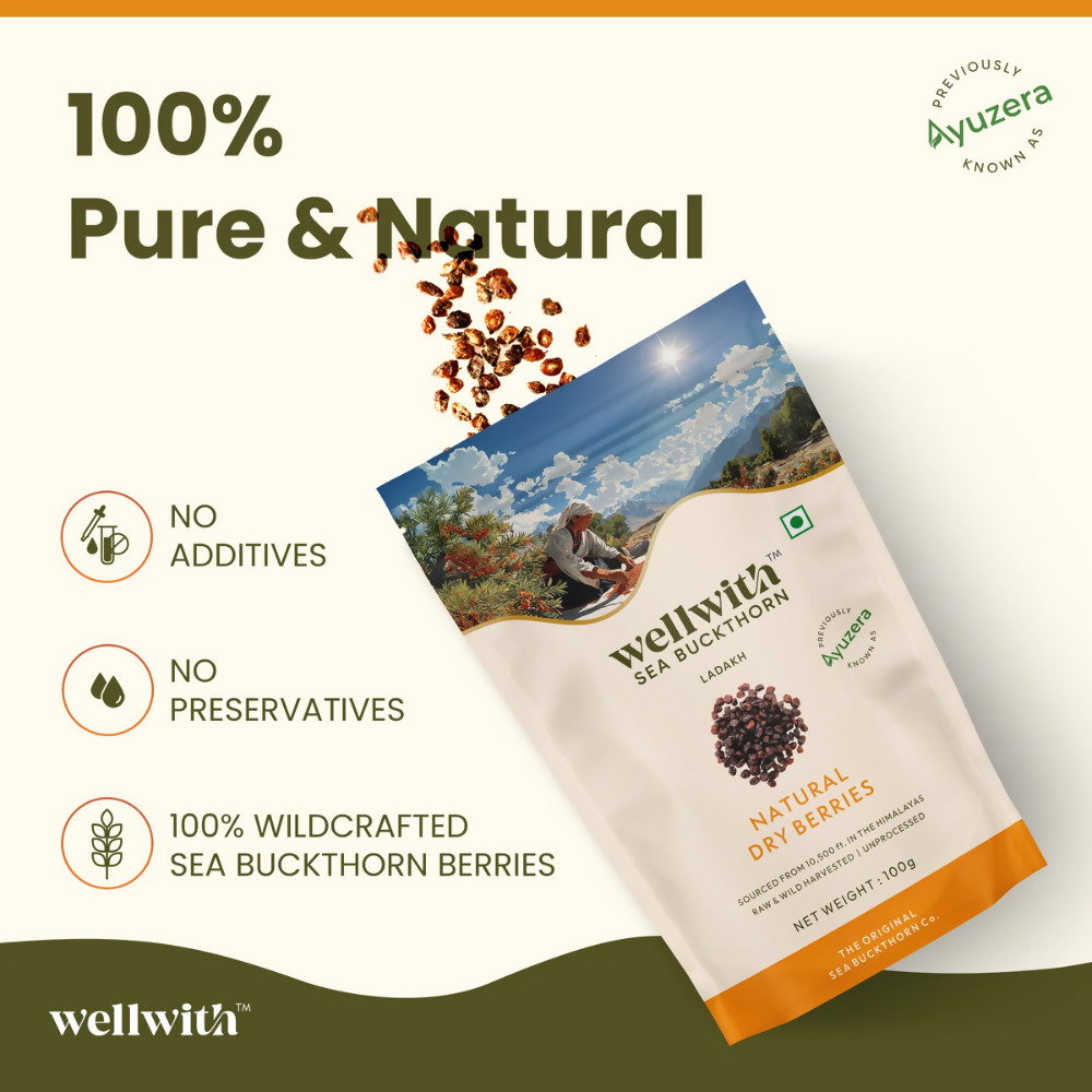 Wellwith Sea Buckthorn Dry Berry - Distacart