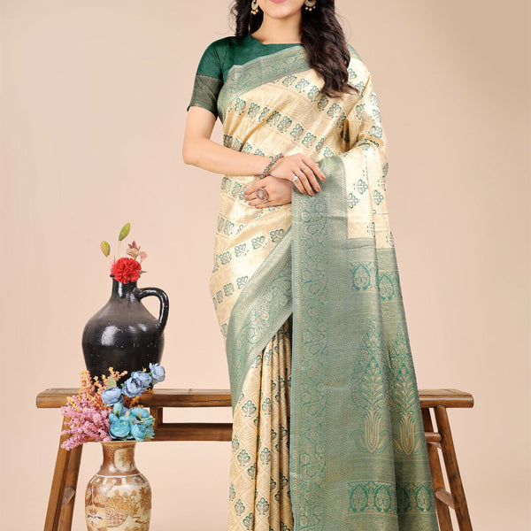 asaur4006_54545890469_o