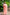 Pink Pure Linen Ethnic Motifs Saree with Unstitched Blouse - A2M