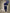 Jyoti Fashion Women's Navy Blue Cotton Blend Embroidery & Sequence work Kurta with Trouser & Dupatta - Distacart