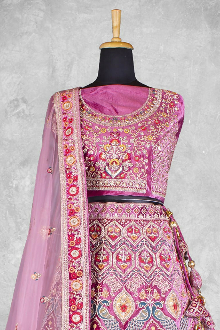 n2647-a-2_54207744104_o