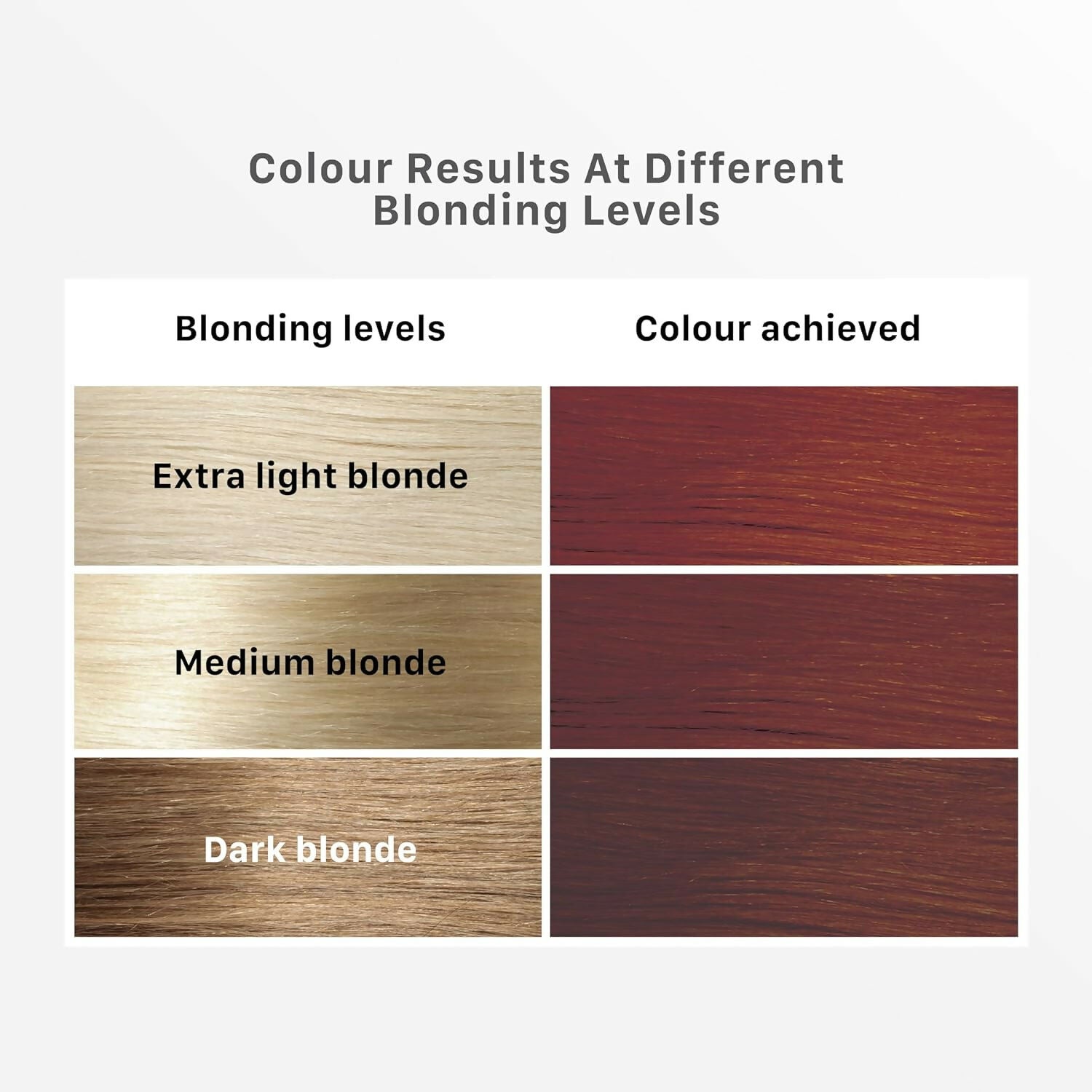 Streax Hair Color Highlighting Kit - Latte Brown - Distacart