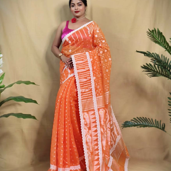 ECDCJAMDANILACEOrange(2)