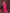 Ai Fashion Pink Soft Georgette Embroidery Party Wear Saree