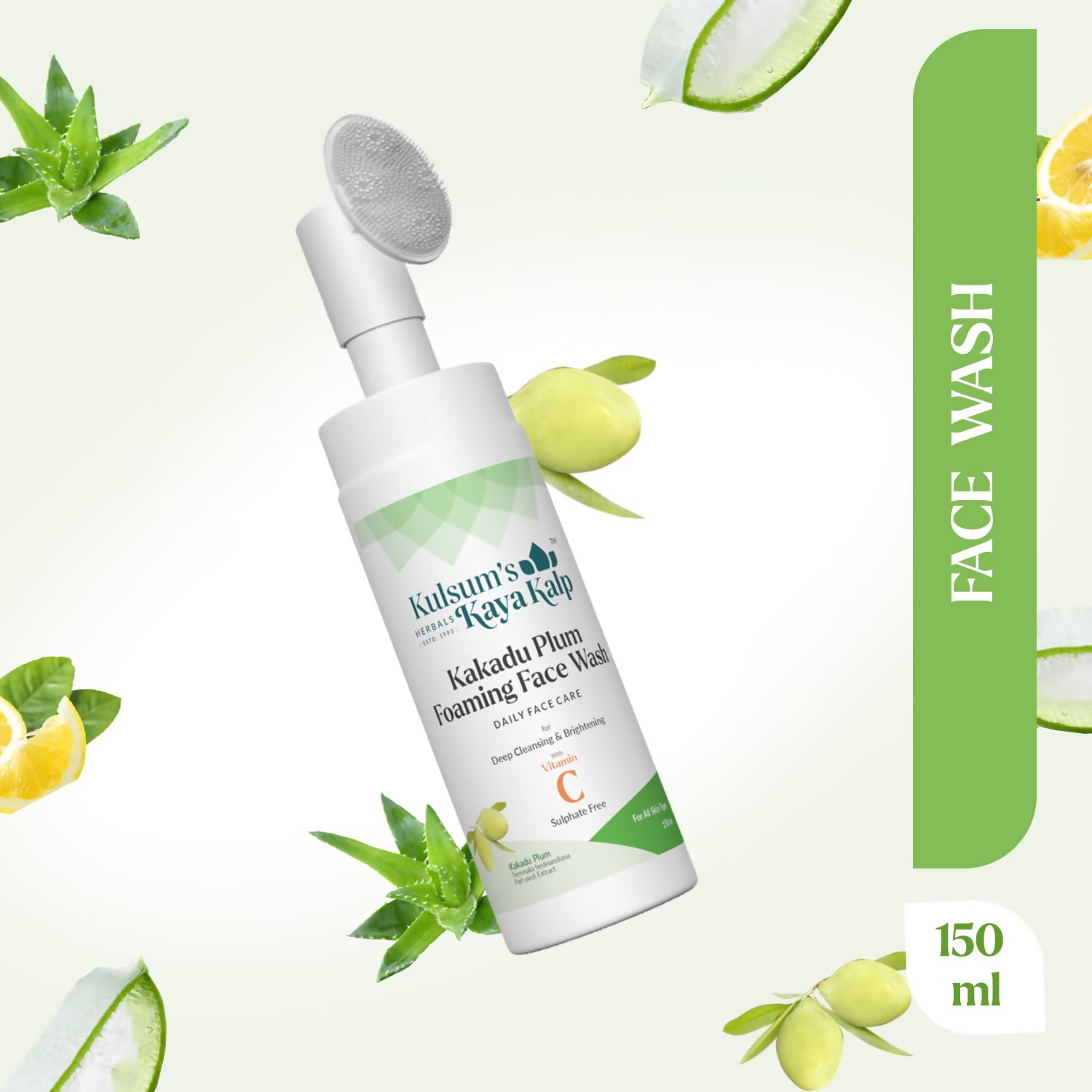 download - 2024-09-25T165851.423