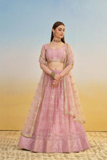 Thumbnail for Aastha Fashion Pink Butterfly Net Tone To Tone Cotton Thread Work And Sequence Work Embroidery Wedding Wear Lehenga Choli - Distacart