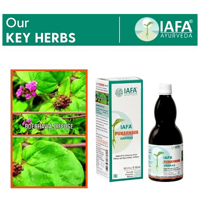 Iafa Punarnava Swaras