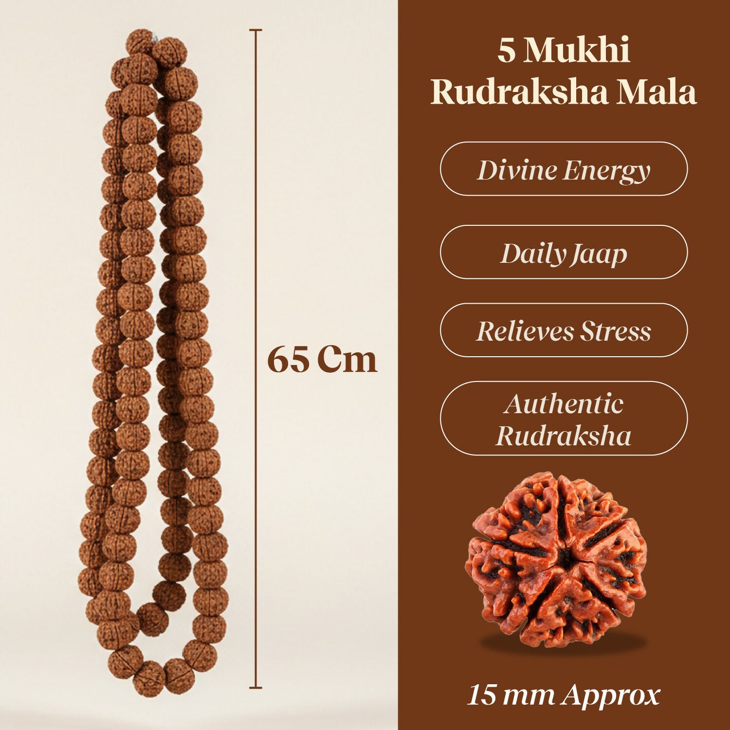 Pujashree Rudraksh Mala Large – Traditional Prayer Mala for Spiritual Healing, Chanting & Devotion - Dista