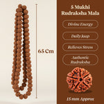 Thumbnail for Pujashree Rudraksh Mala Large – Traditional Prayer Mala for Spiritual Healing, Chanting & Devotion - Dista