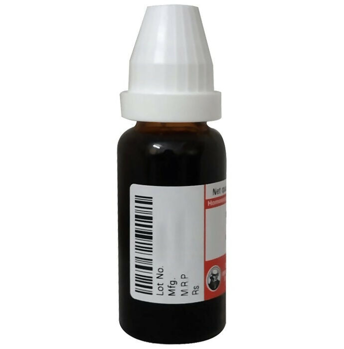 Dr. Willmar Schwabe Germany Phytolacca Dilution - Distacart