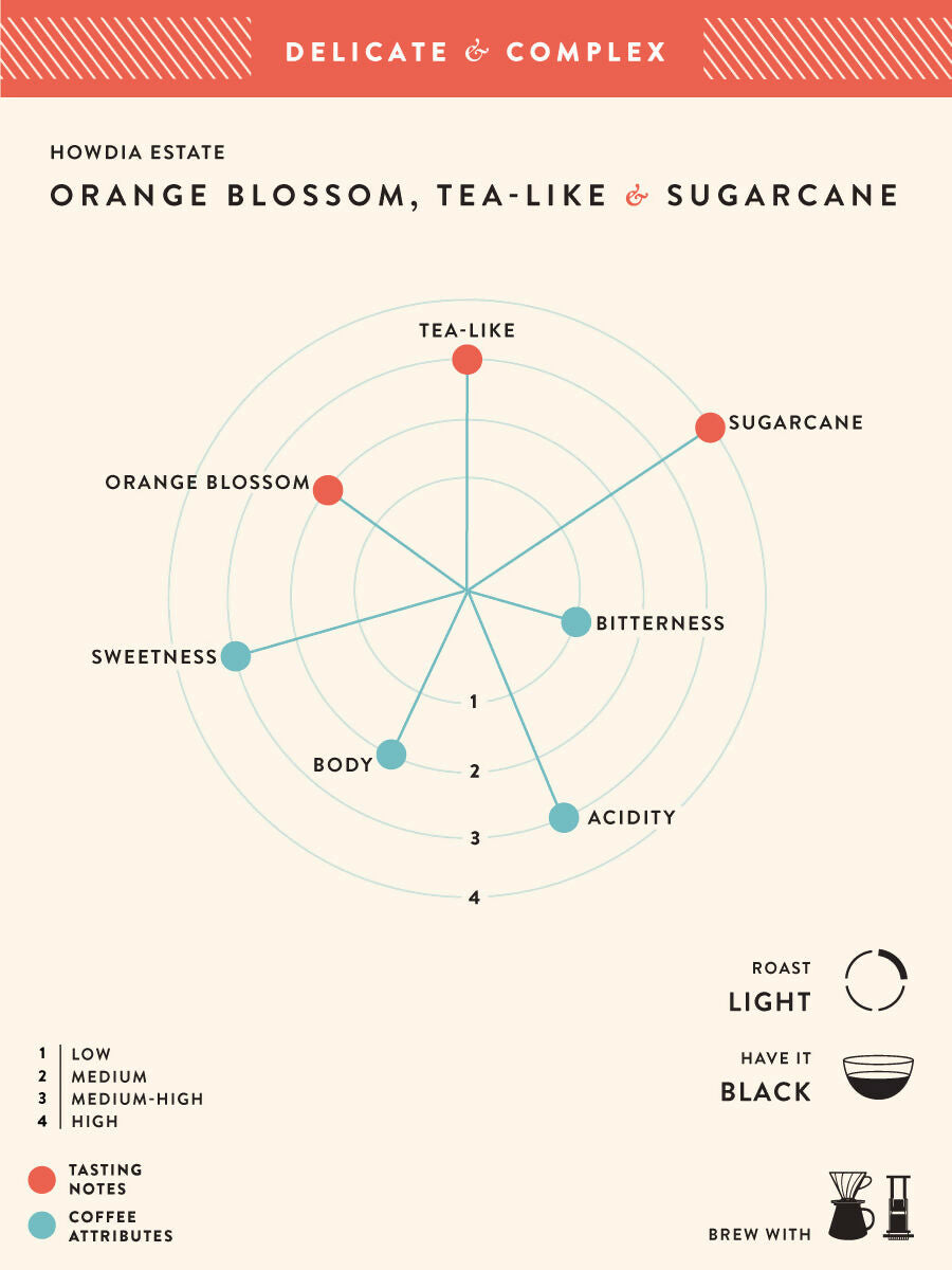 Blue Tokai Howdia Estate - Distacart