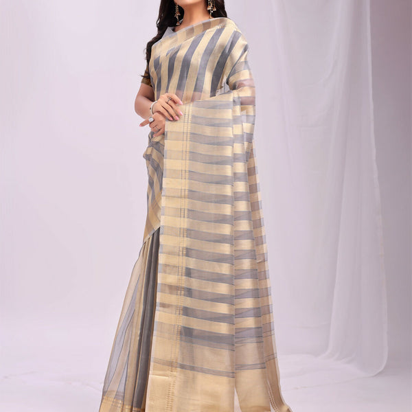 Astita Organza Grey Saree