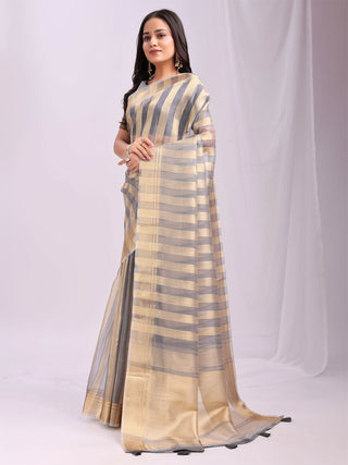 Astita Organza Grey Saree