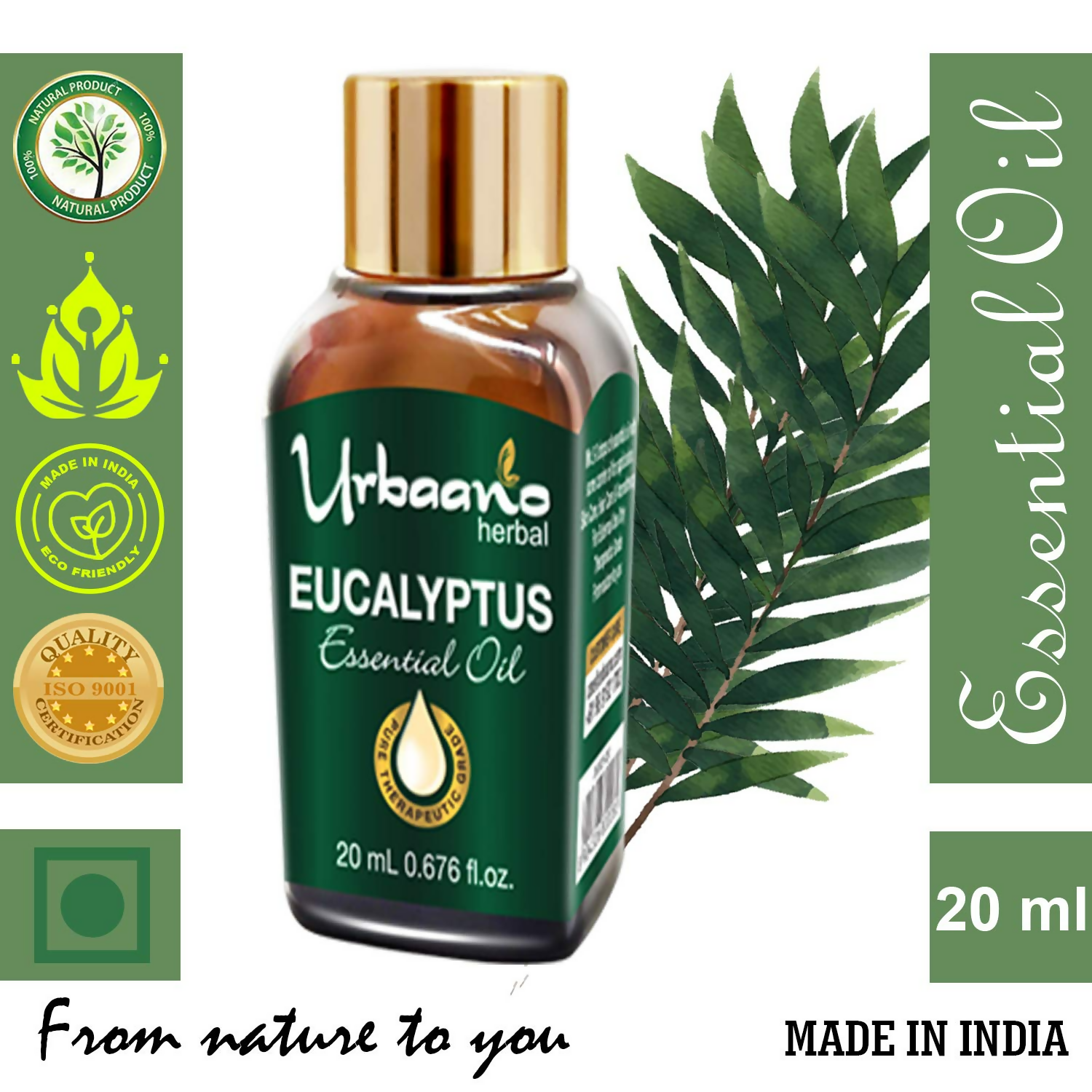 download - 2025-05-06T175258.709