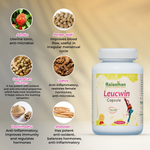 Thumbnail for Rajasthan Herbals Leucwin Capsules
