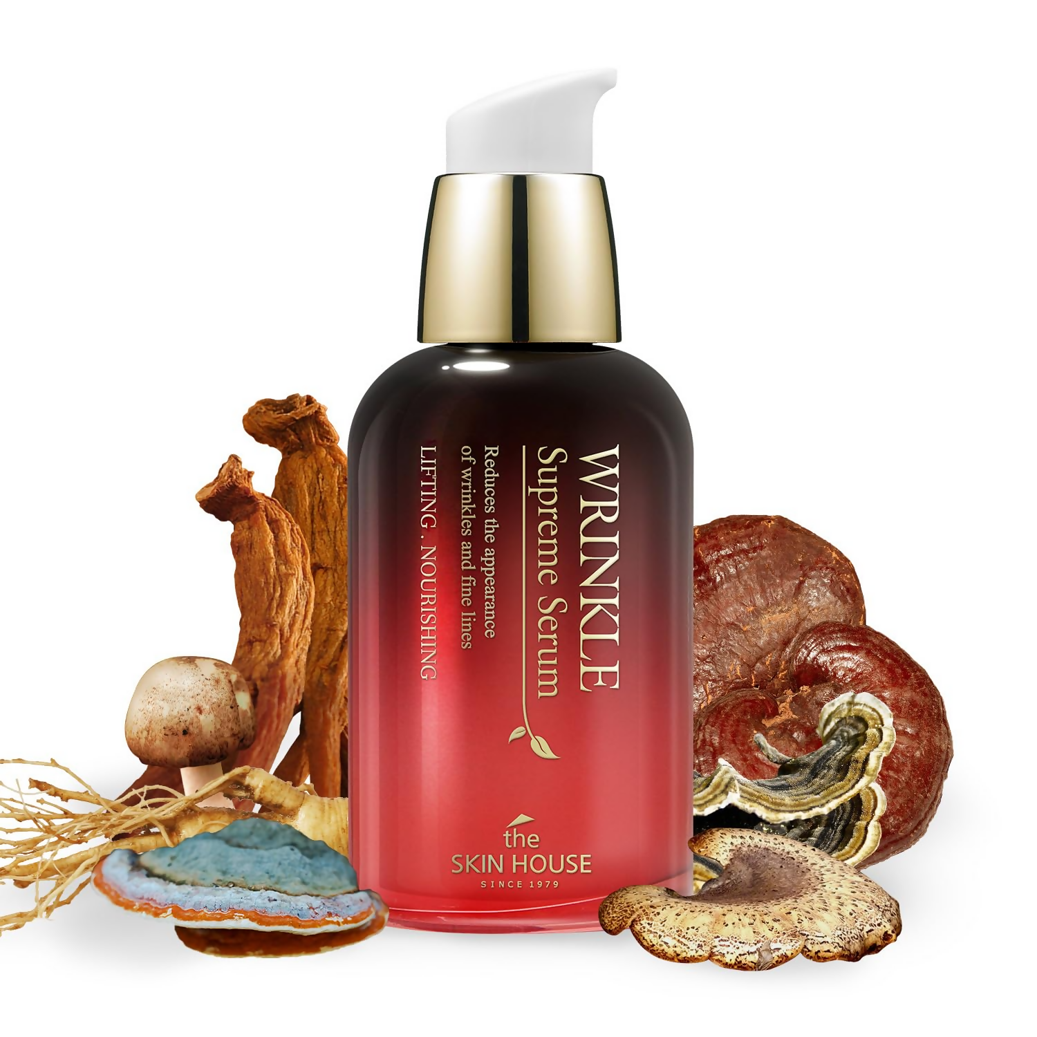 download - 2024-11-19T145246.949