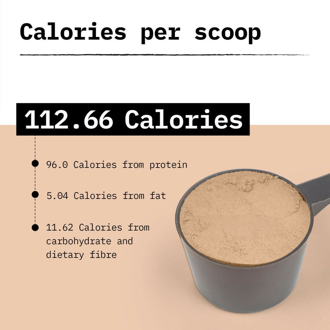 Only What's Needed 24g Whey Protein Isolate Pack - Cocoa - Distacart