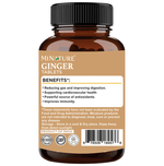 Thumbnail for Minature Ginger Tablet