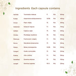 Thumbnail for Shreevarma Arsho Care Capsules