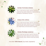 Thumbnail for Shreevarma Arsho Care Capsules