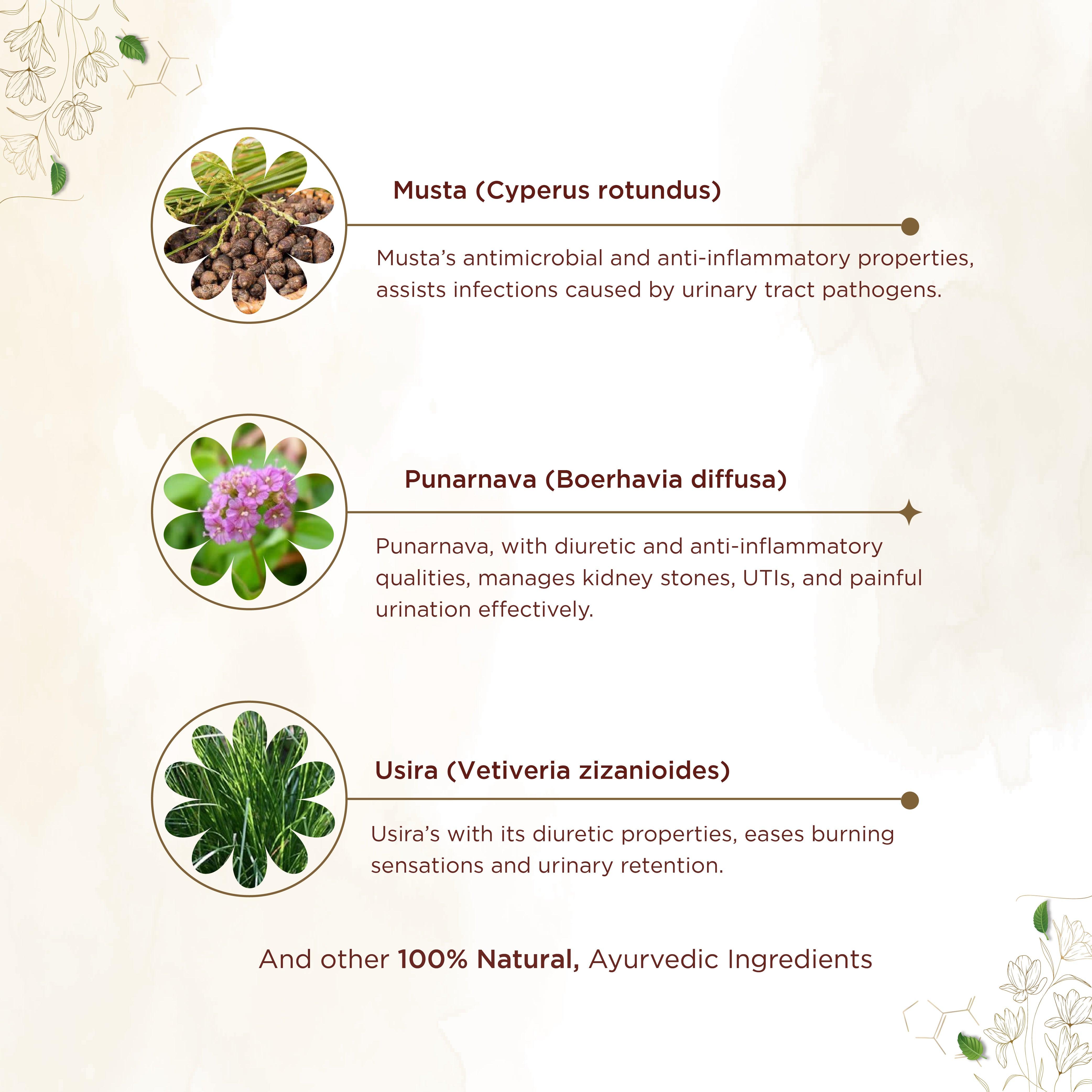 Shreevarma Reknown Capsules