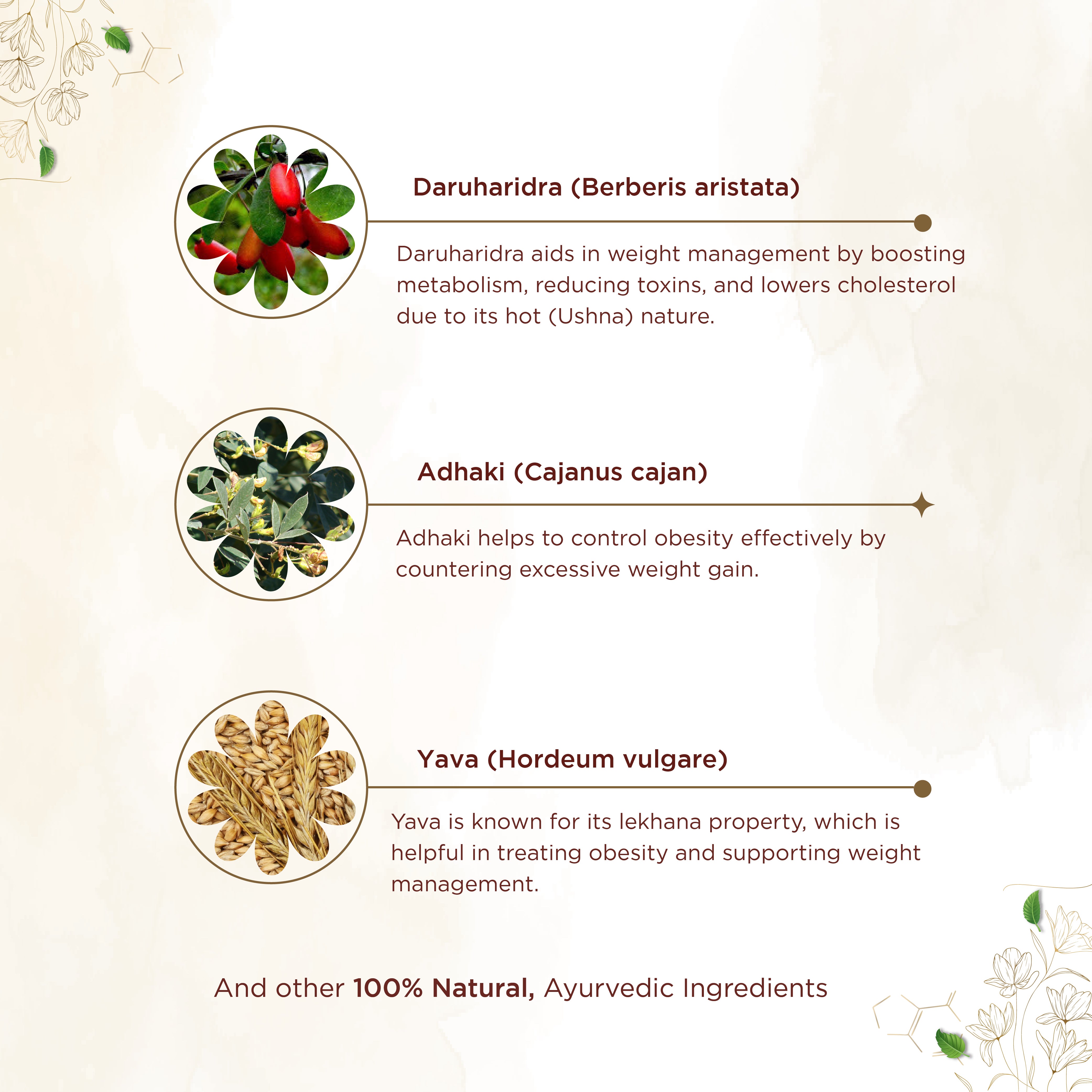 Shreevarma Shree Slim Capsules