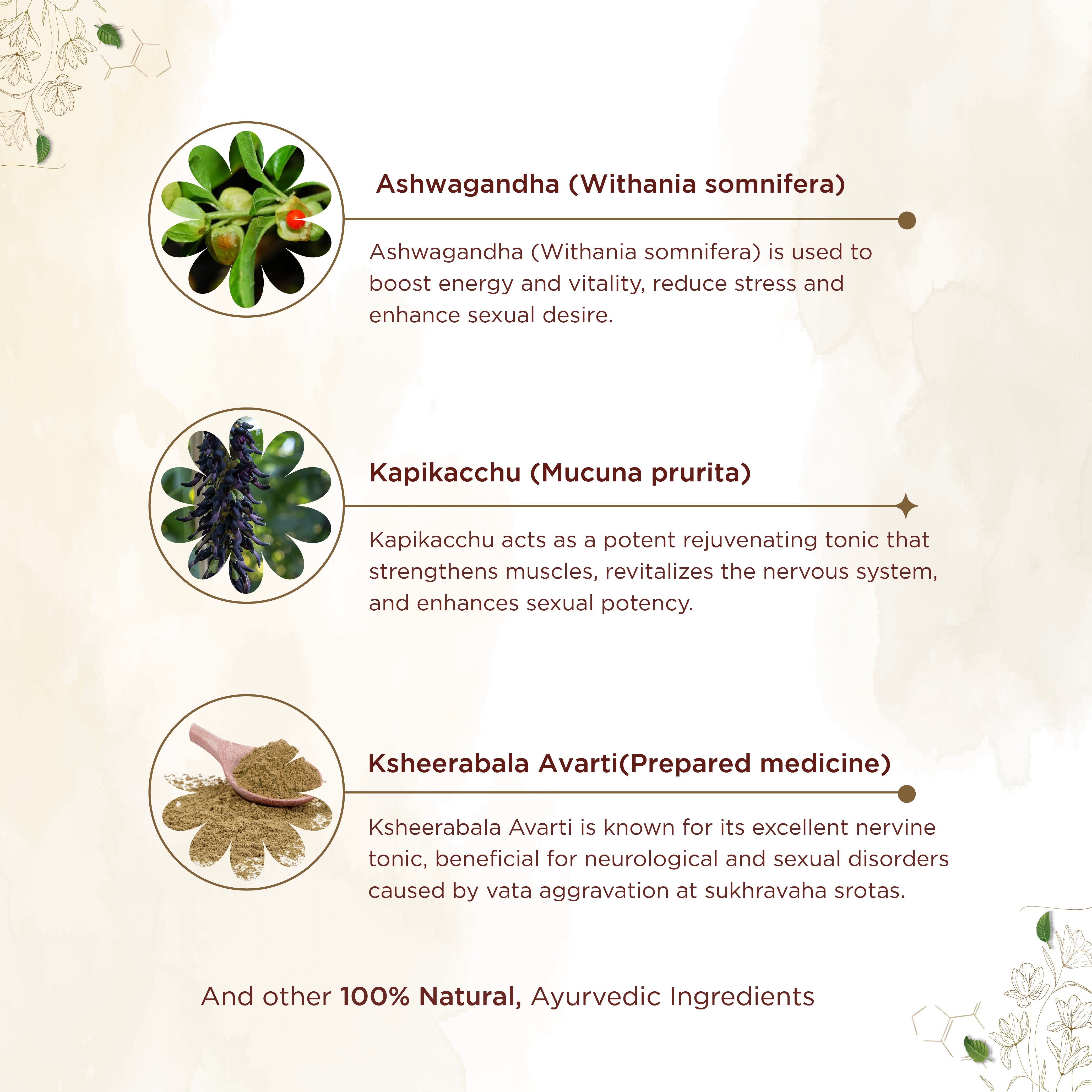 Shreevarma Vajee Care Sg Capsules Men’S Wellness