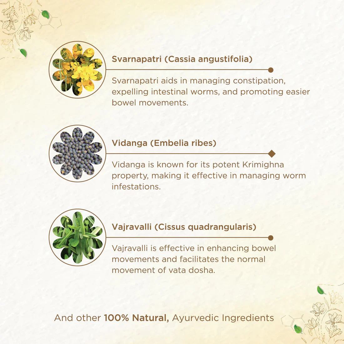 Shreevarma Detox Choornam