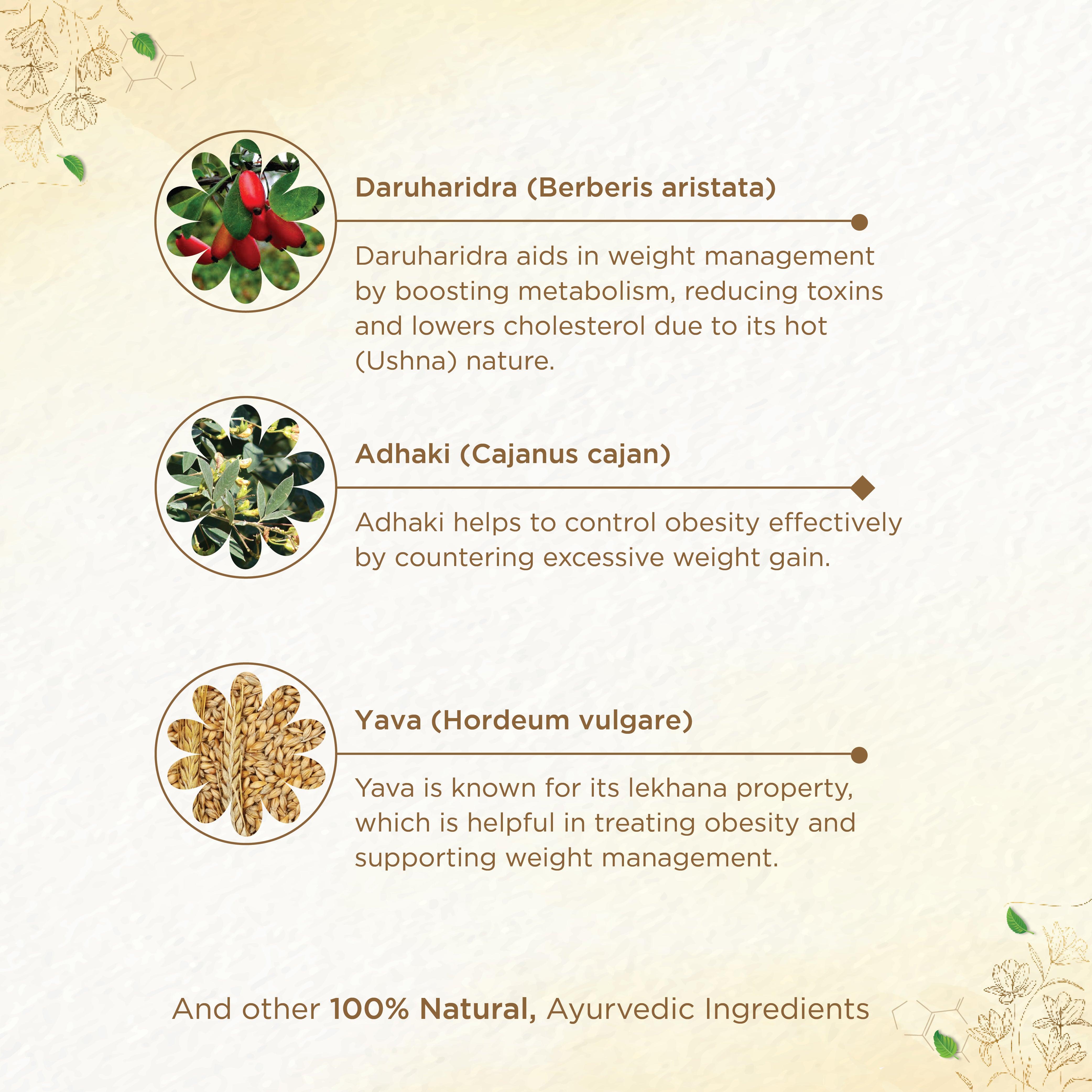 Shreevarma Shree Slim Choornam