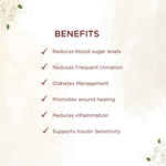 Thumbnail for Shreevarma Mehnil Tablets