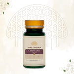 Thumbnail for Shreevarma Chyavaan Tablets