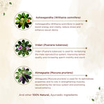 Thumbnail for Shreevarma Vajee Care Capsules Men’S Wellness